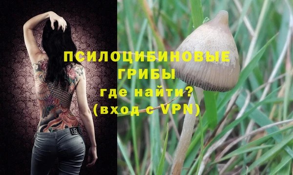 mdpv Бугульма