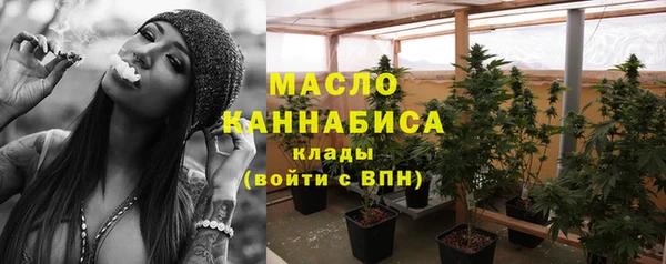 таблы Бородино