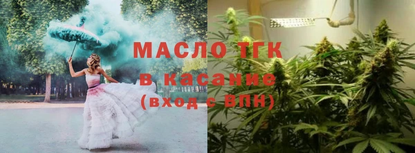 таблы Бородино