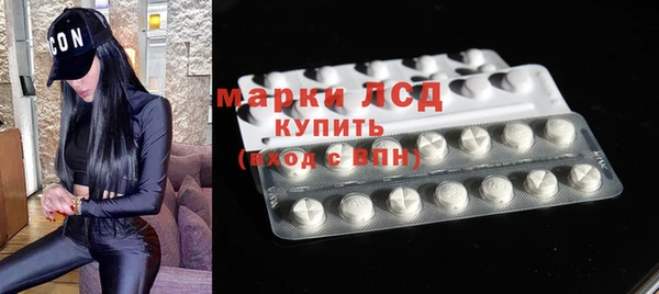таблы Бородино