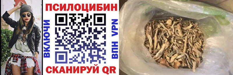 где купить наркоту  Кольчугино  Псилоцибиновые грибы мицелий 